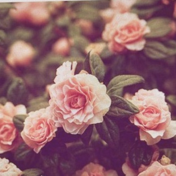 "When in doubt, wear a dress" - Picture 1 of 13